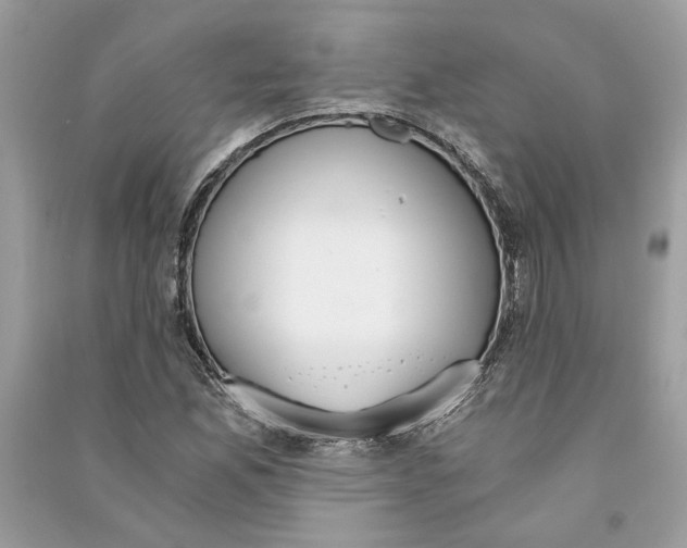 X0000090741165200708101656