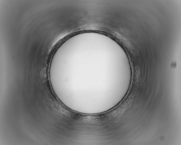 X0000090741166200708101656