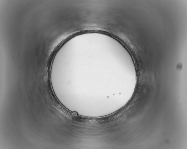 X0000090741167200708101656