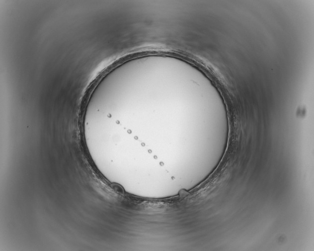 X0000090741168200708101656