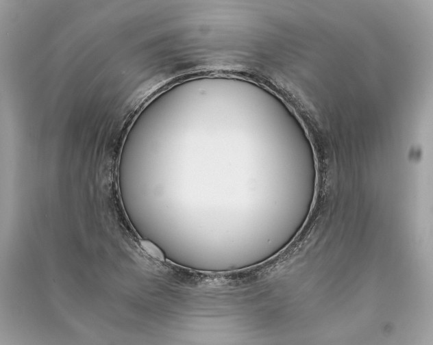 X0000090741169200708101656