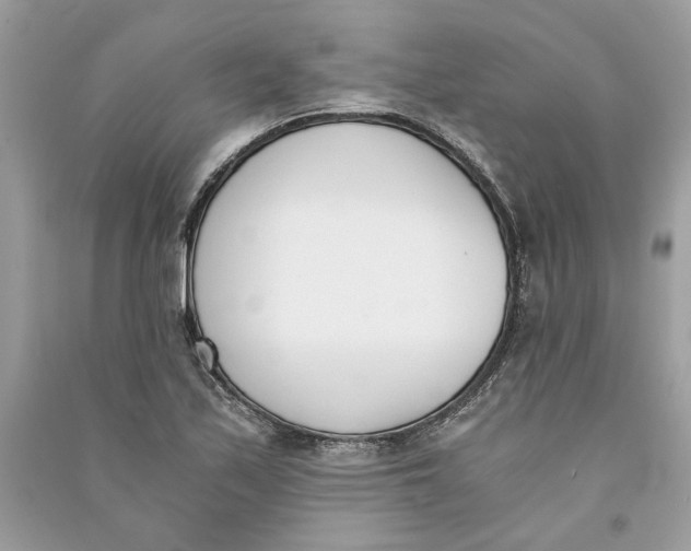 X0000090741171200708101656