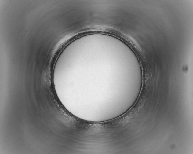 X0000090741172200708101656