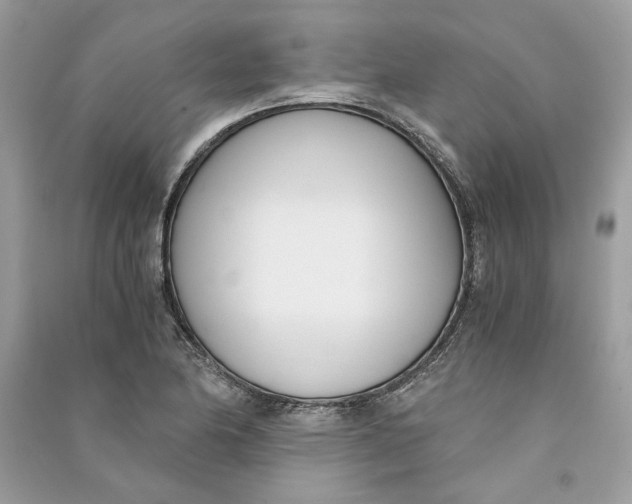 X0000090741174200708101656