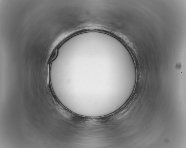 X0000090741175200708101656