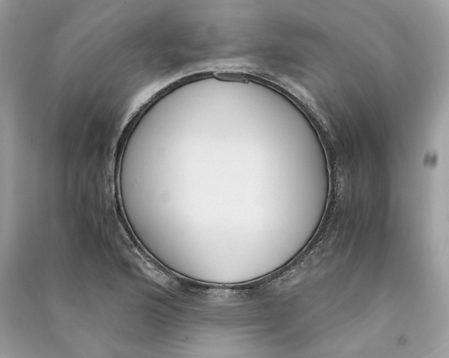 X0000090741176200708101656