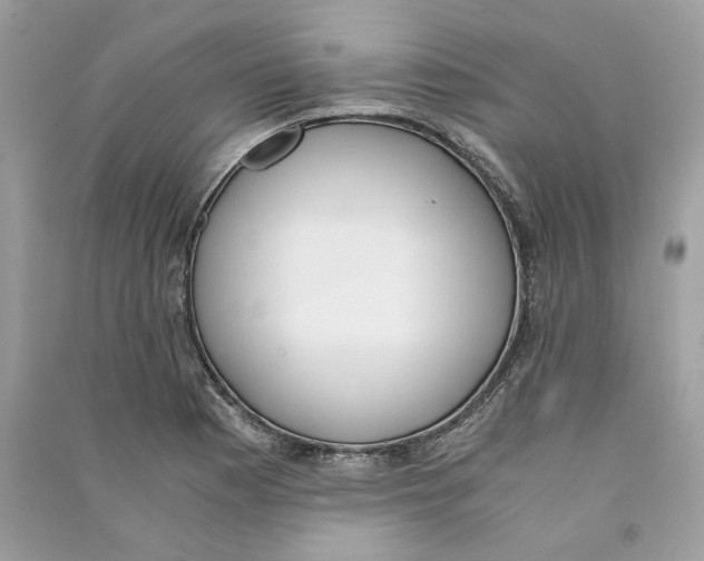 X0000090741177200708101656