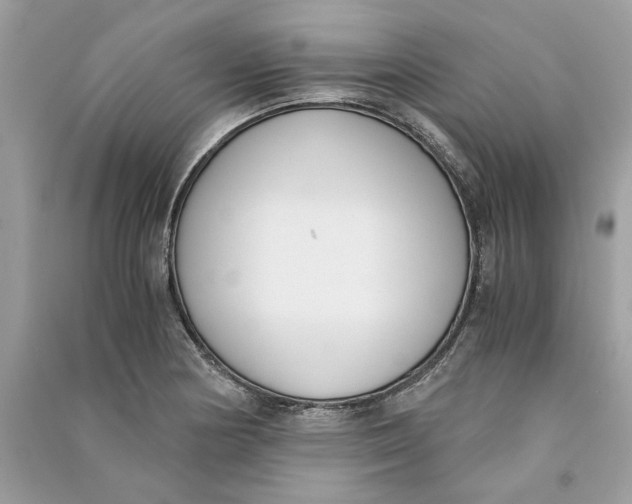 X0000090741178200708101656