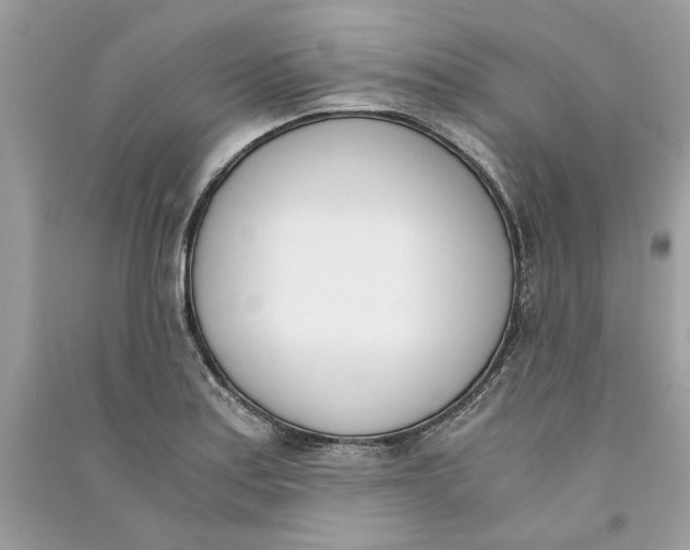 X0000090741179200708101656