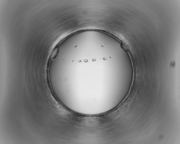 X0000090741181200708101656