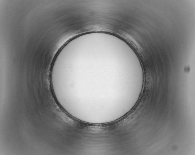 X0000090741182200708101656