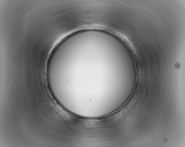 X0000090741184200708101656