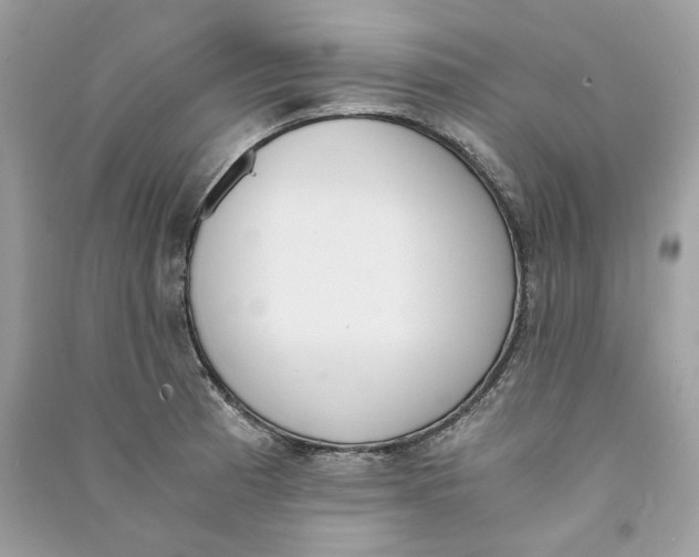 X0000090741185200708101656