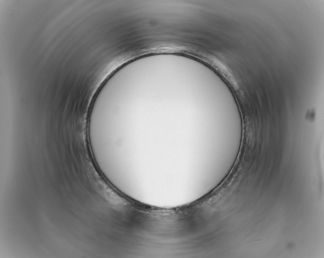 X0000090741186200708101656