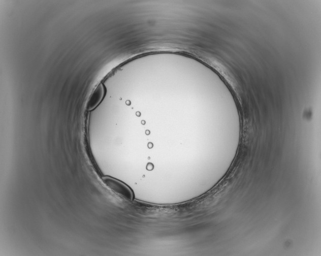 X0000090741187200708101656