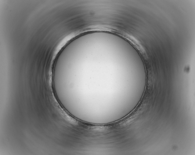 X0000090741188200708101656