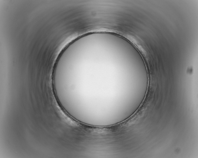 X0000090741189200708101656