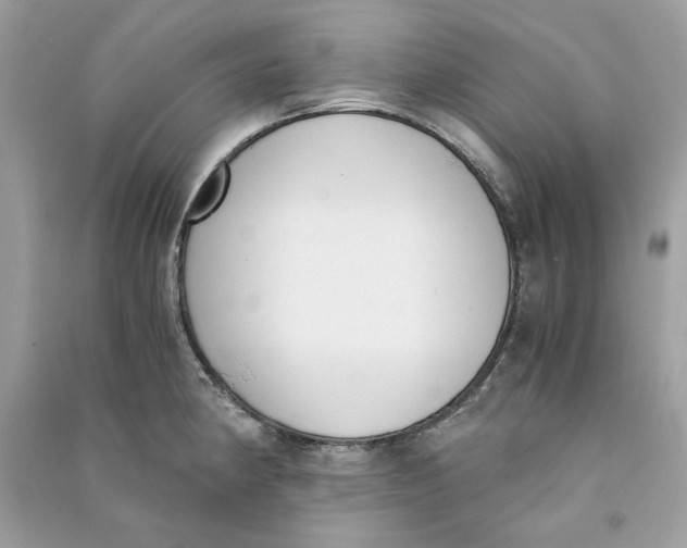 X0000090741190200708101656