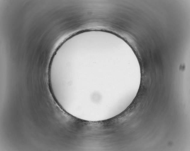 X0000090741191200708101656