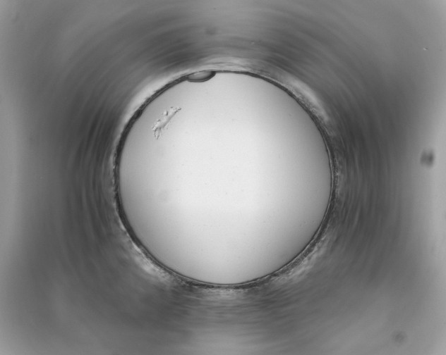 X0000090741192200708101656