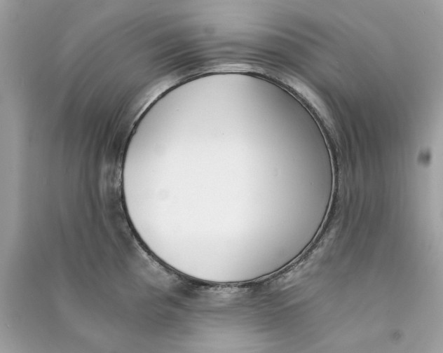 X0000090741193200708101656