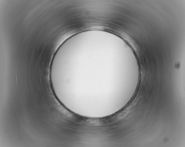 X0000090741194200708101656