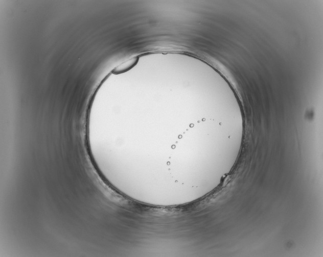 X0000090741195200708101656