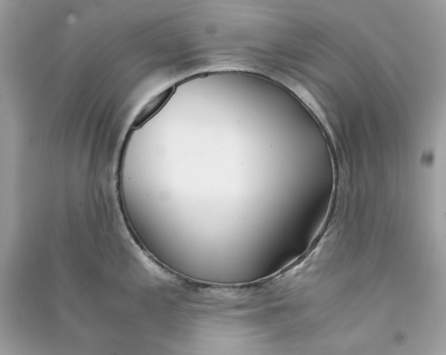 X0000090741197200708101656