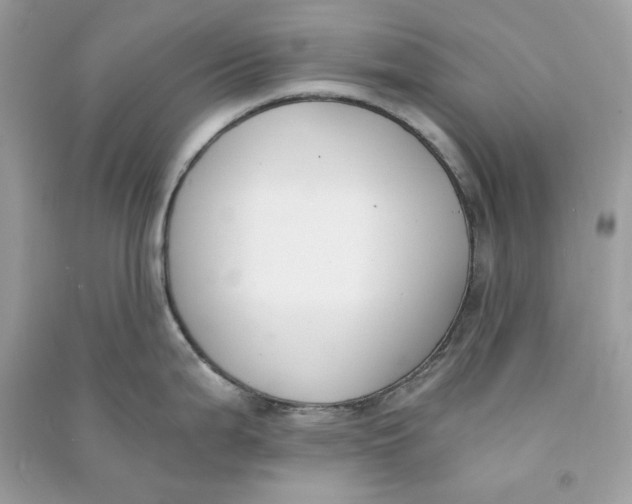 X0000090741199200708101656