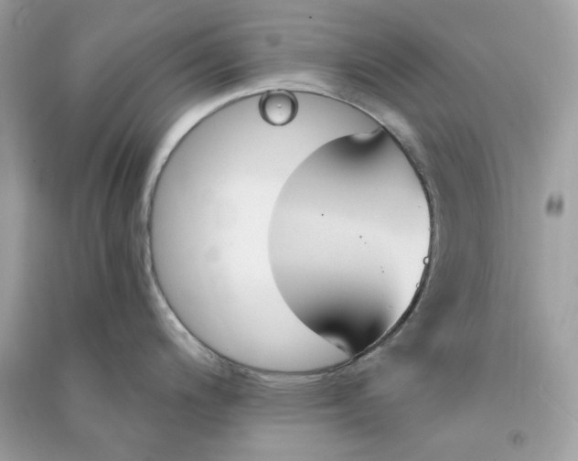 X0000090741200200708101656