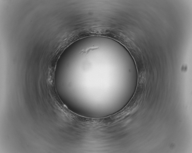 X0000090741202200708101655