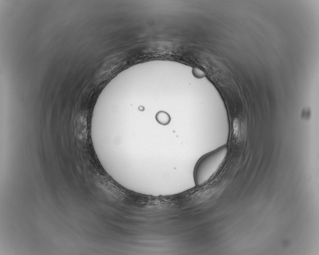 X0000090741203200708101655