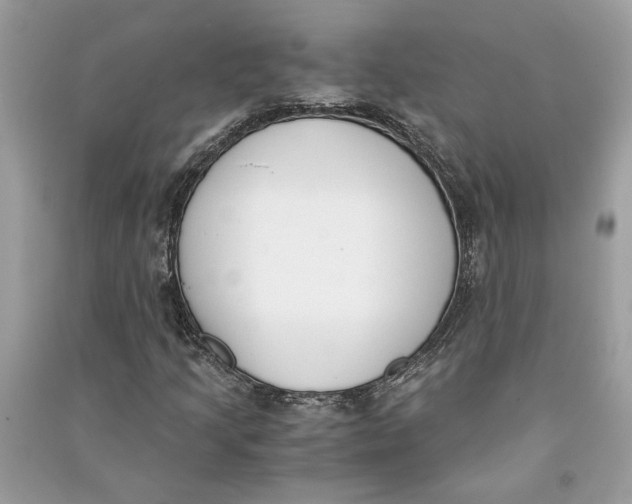 X0000090741205200708101655