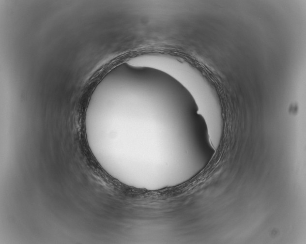 X0000090741206200708101655