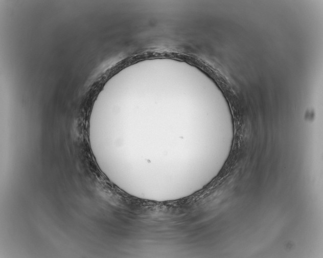 X0000090741207200708101655