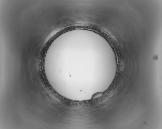 X0000090741208200708101655