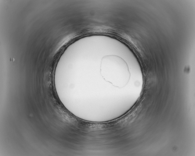 X0000090741211200708101655