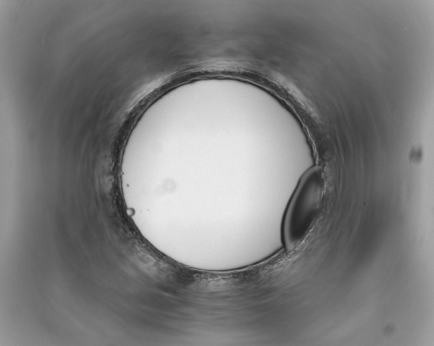 X0000090741213200708101655