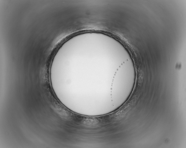 X0000090741215200708101655