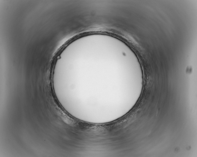 X0000090741216200708101655