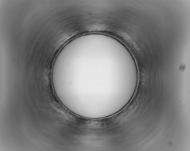 X0000090741217200708101655