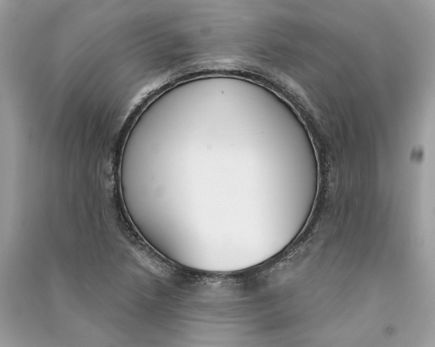 X0000090741218200708101655