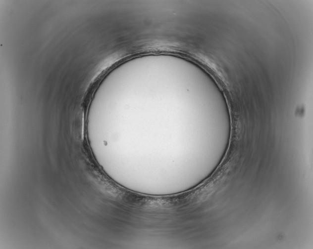 X0000090741219200708101655