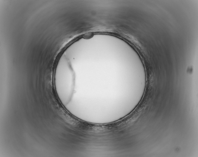 X0000090741220200708101655