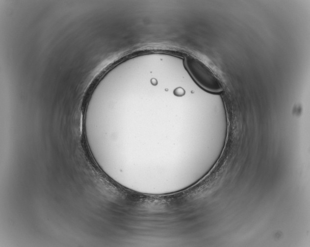 X0000090741221200708101655