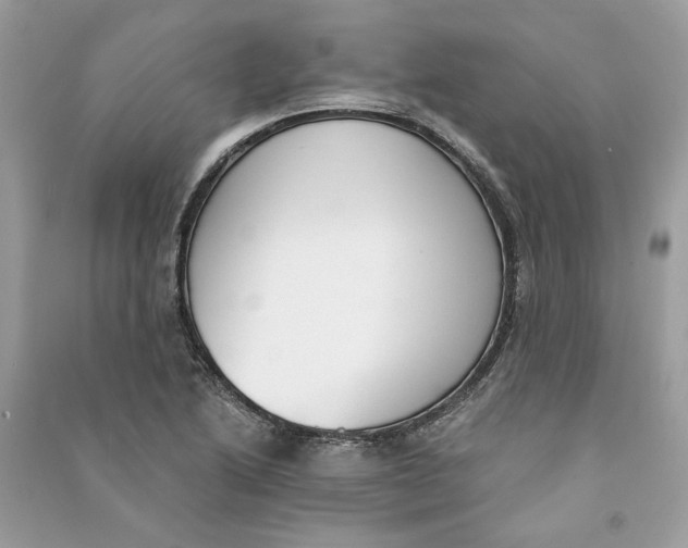 X0000090741222200708101655