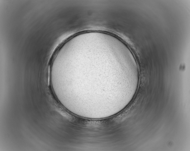 X0000090741223200708101655