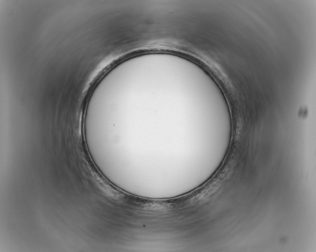 X0000090741224200708101655