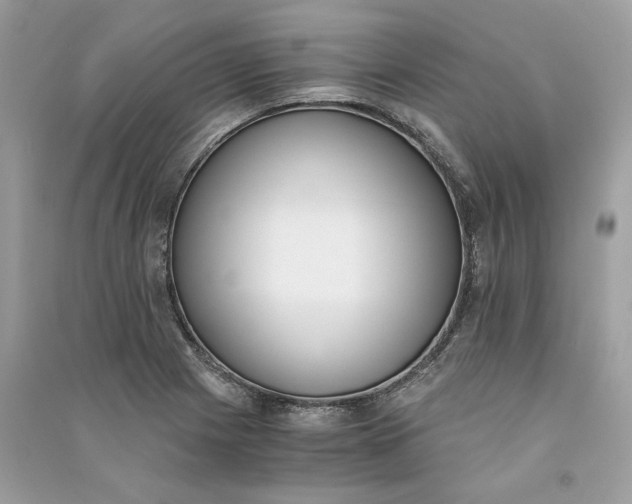 X0000090741225200708101655