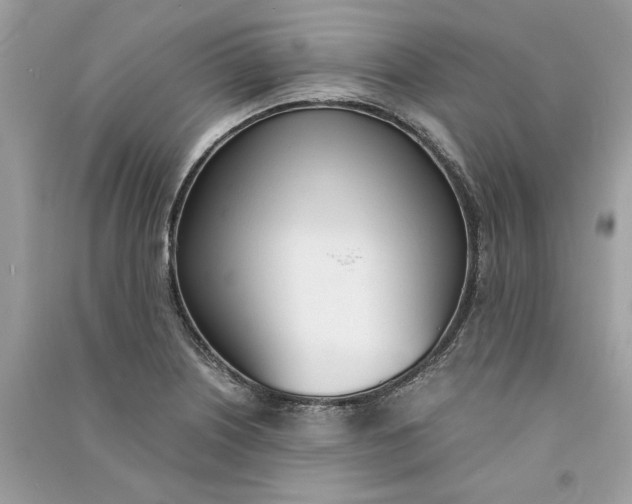 X0000090741226200708101655